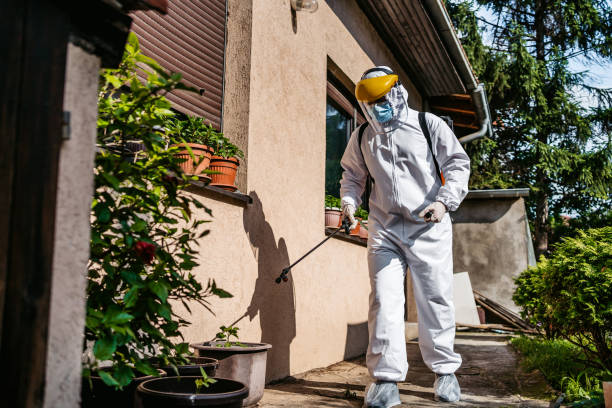 Trusted Fredericktown, MO Pest Control Experts